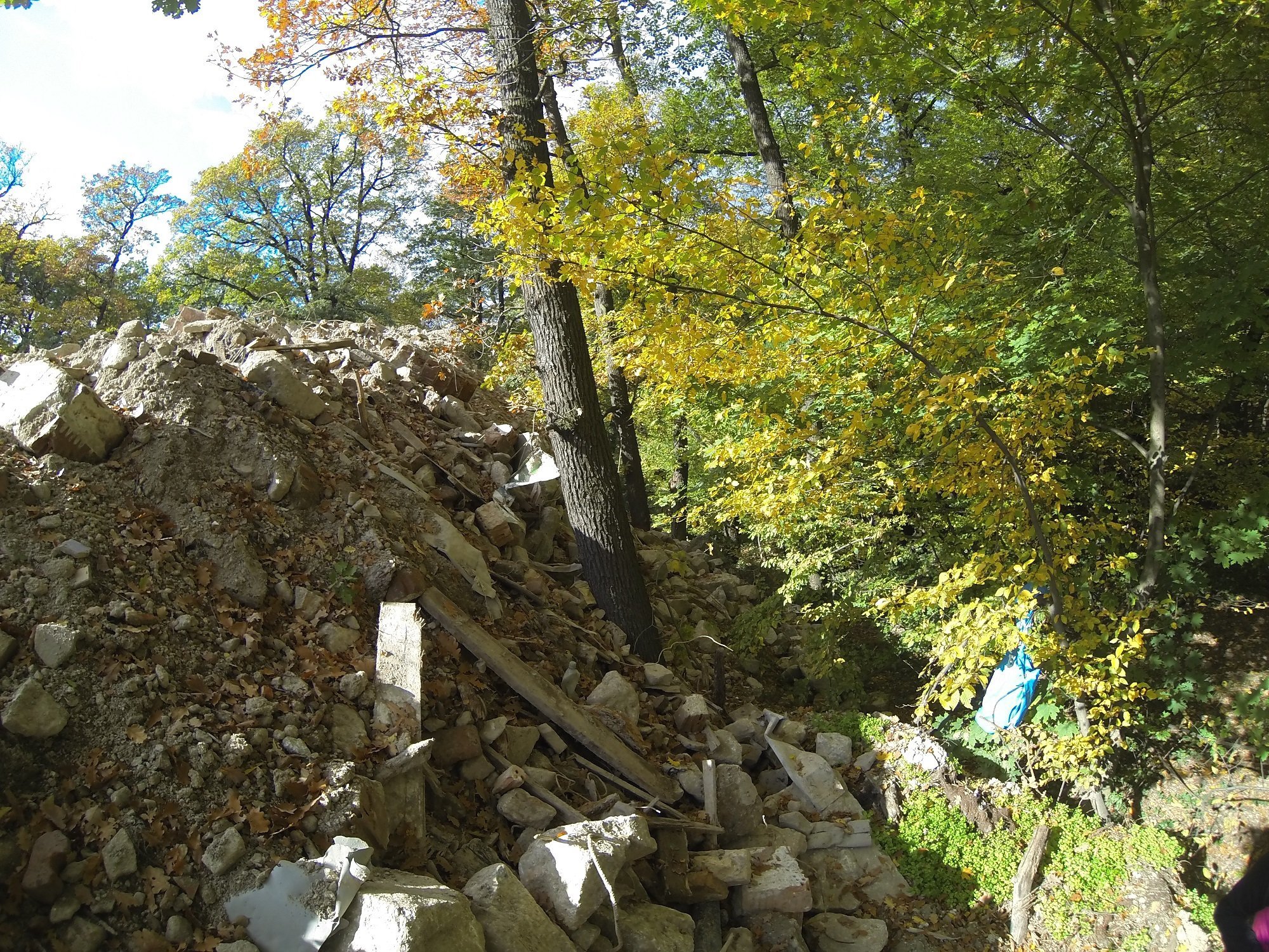 Stavebný odpad vysypaný do lesa pri stavenisku na Krásnej hôrke, Nové  Mesto, Bratislava | Odkazprestarostu.sk